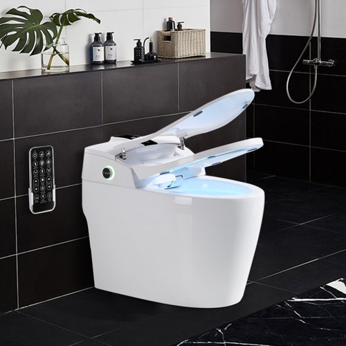 XSIX Smart Bidet Elongated Toilet Bidet,Warm Water Clear,Auto Flush